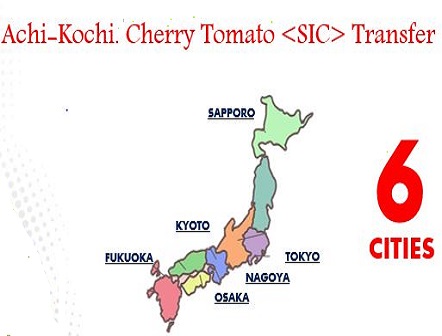 Achi-Kochi Cherry Tomato <SIC> Transfer