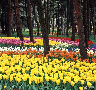 Fukuoka Airport to Munakata City Shared Transfer ( Cherry Tomato ) SICCT-410012.0011