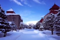 Hakodate Airport to Hakodate City Shared Transfer ( Cherry Tomato ) SICCT-410012.0099