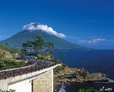 Haneda Airport to Tachikawa City Shared Transfer ( Cherry Tomato ) SICCT-410012.0085