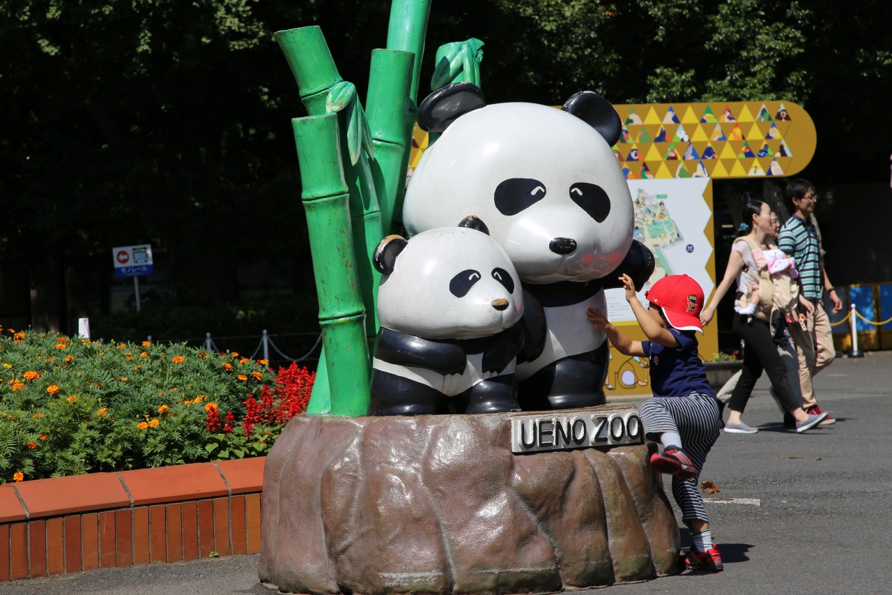 One Stop Transfer: Tokyo City to Ueno Zoo