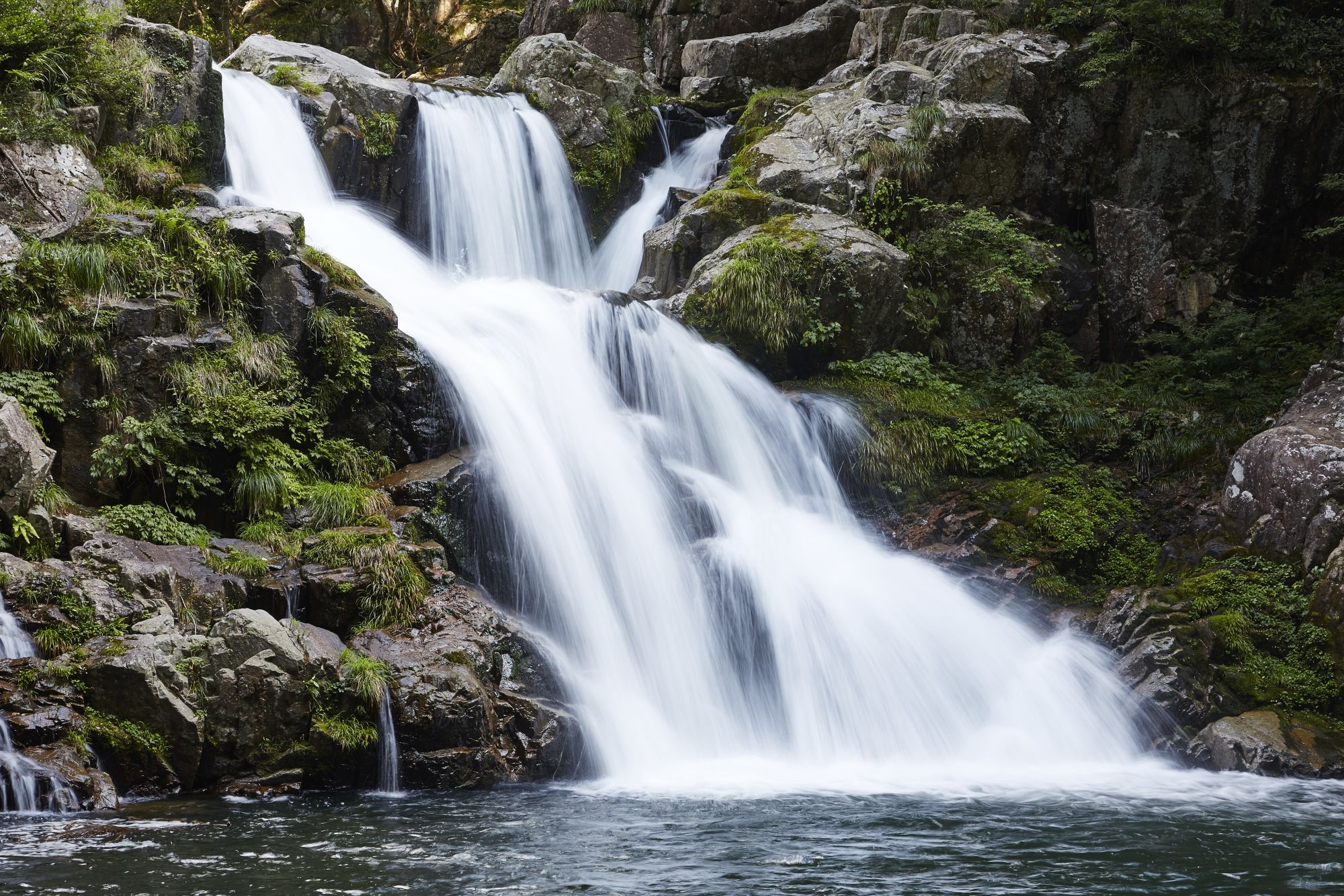 4 Hours Charter Transfer Within The City. Miyajima Island (with Invisible Tour Guide Service On Demand)
