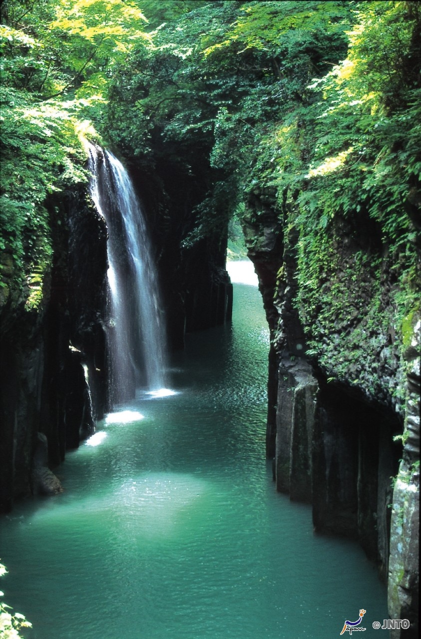 4 Hours Charter Transfer Within The City. Miyazaki City (with Invisible Tour Guide Service On Demand)