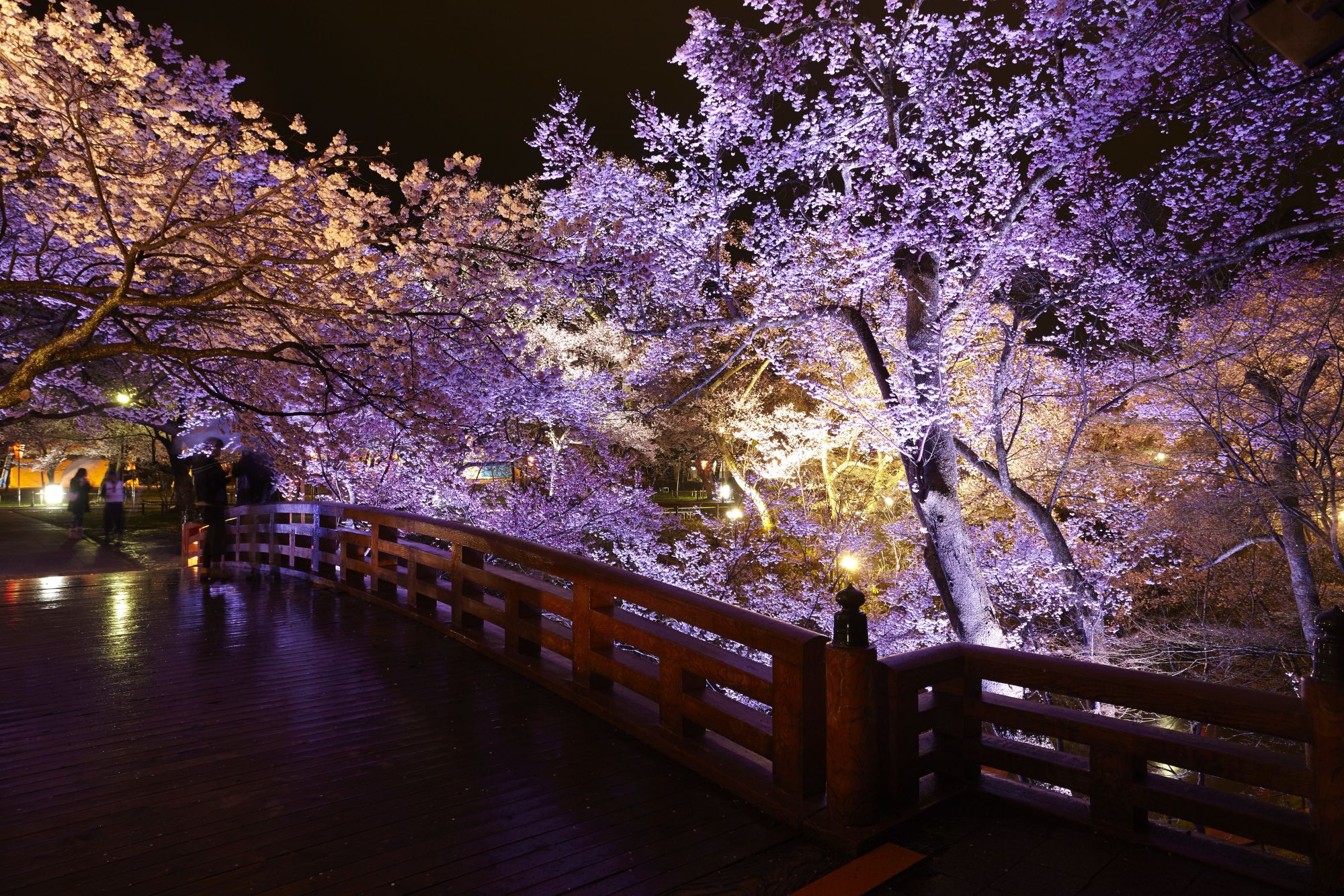 Cherry Tomato. 4 Hours Charter Transfer Within The City. Nagano City (with Invisible Tour Guide Service On Demand)
