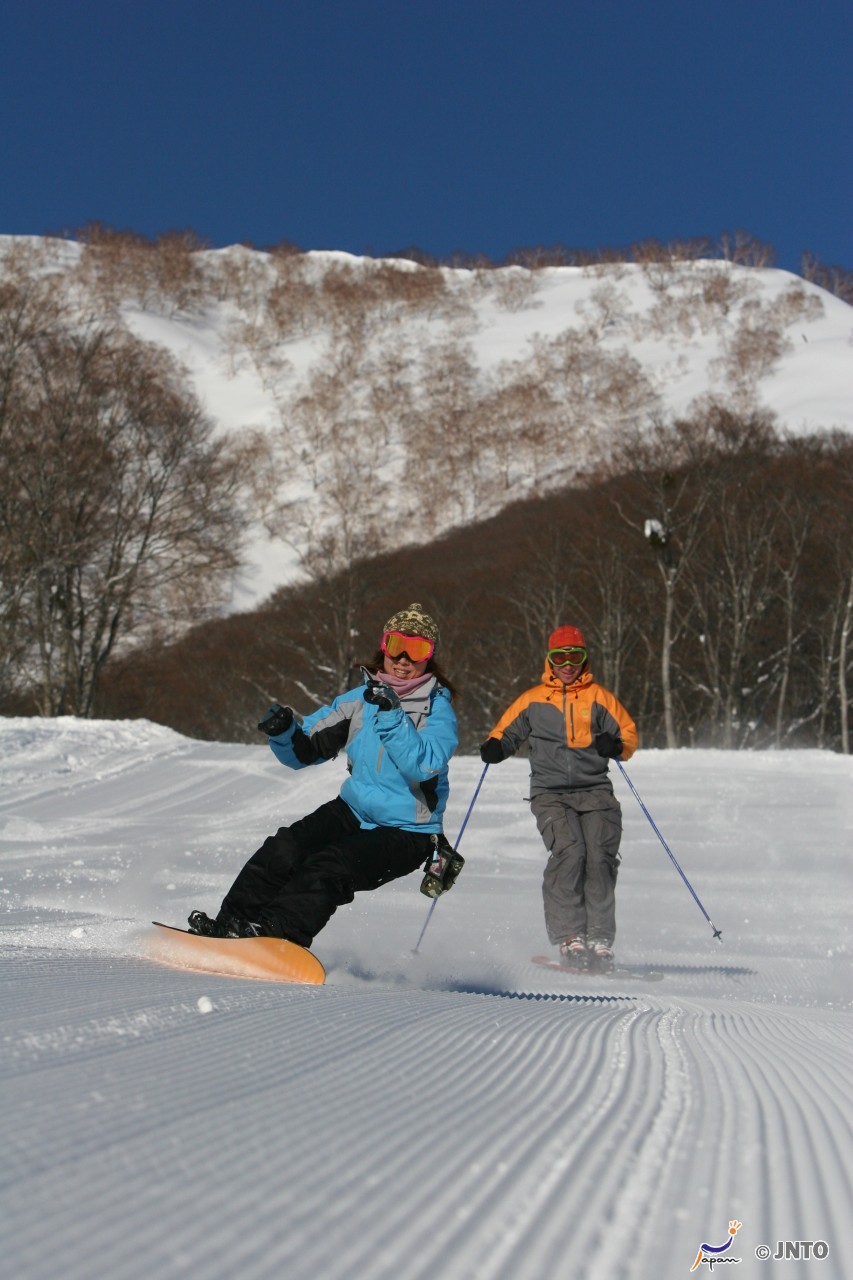 Cherry Tomato. 4 Hours Charter Transfer Within The City. Myoko City (with Invisible Tour Guide Service On Demand)