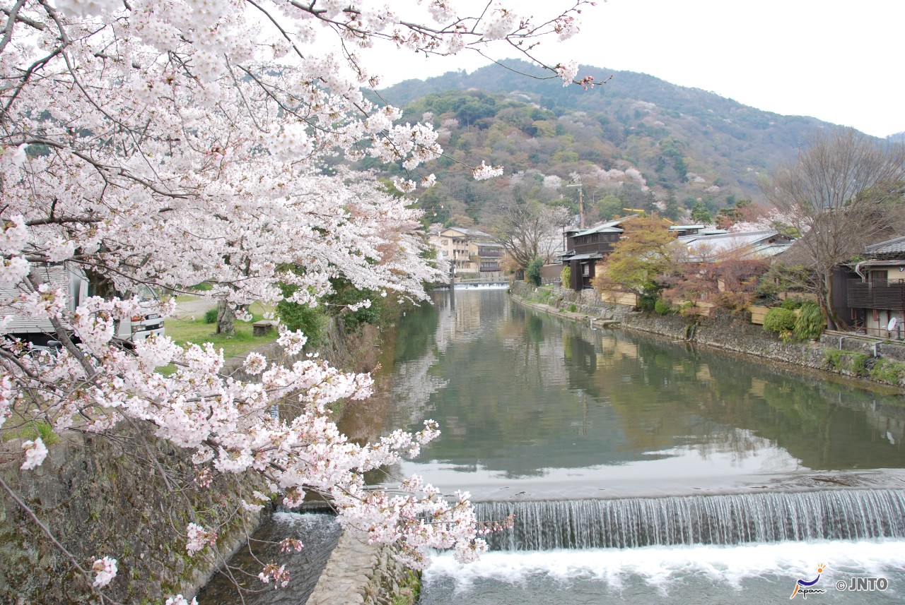 7D6N. Kyoto.Standard.with Kyoto Morning Tour.Kyoto Tour. **ALPHA MAGIC 20**