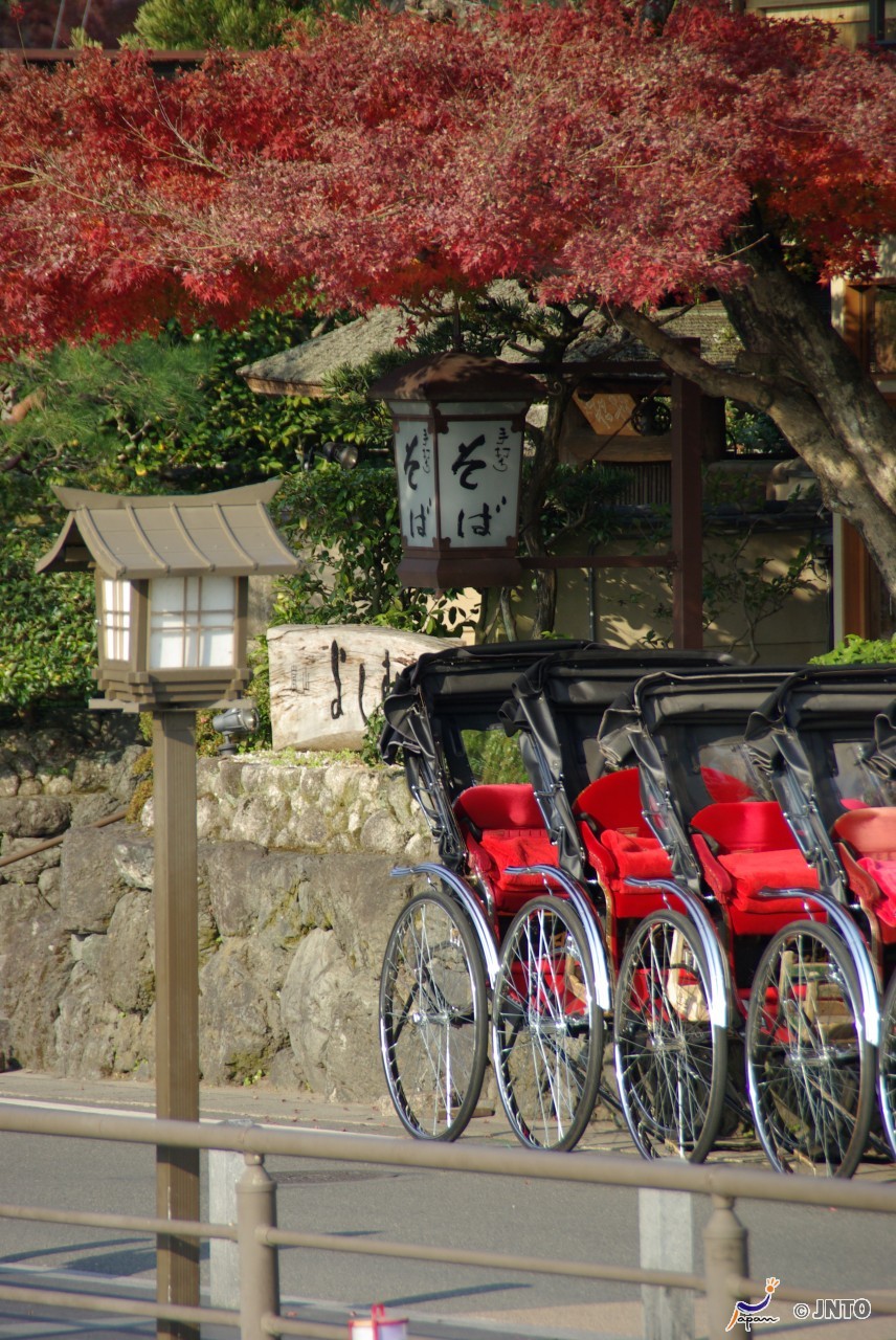 4D3N. Kyoto.Standard.with Kyoto Morning Tour.Kyoto Tour. **ALPHA MAGIC 20**