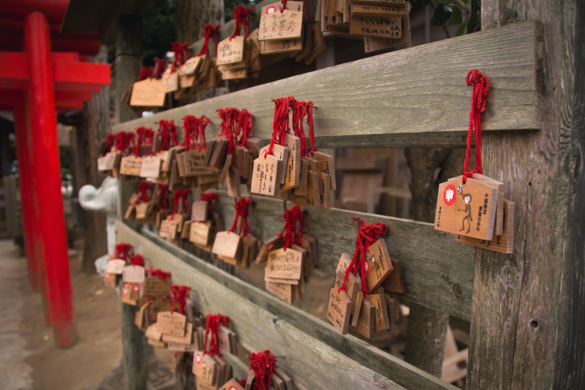 Door2Door transfer within the city. Kamogawa City ( Cherry Tomato )