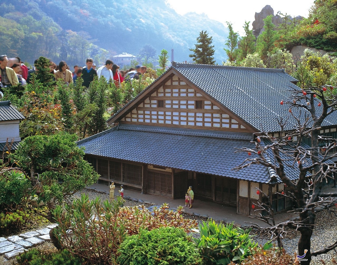 Door2Door transfer within the city. Kinugawa Onsen (Cherry Tomato )