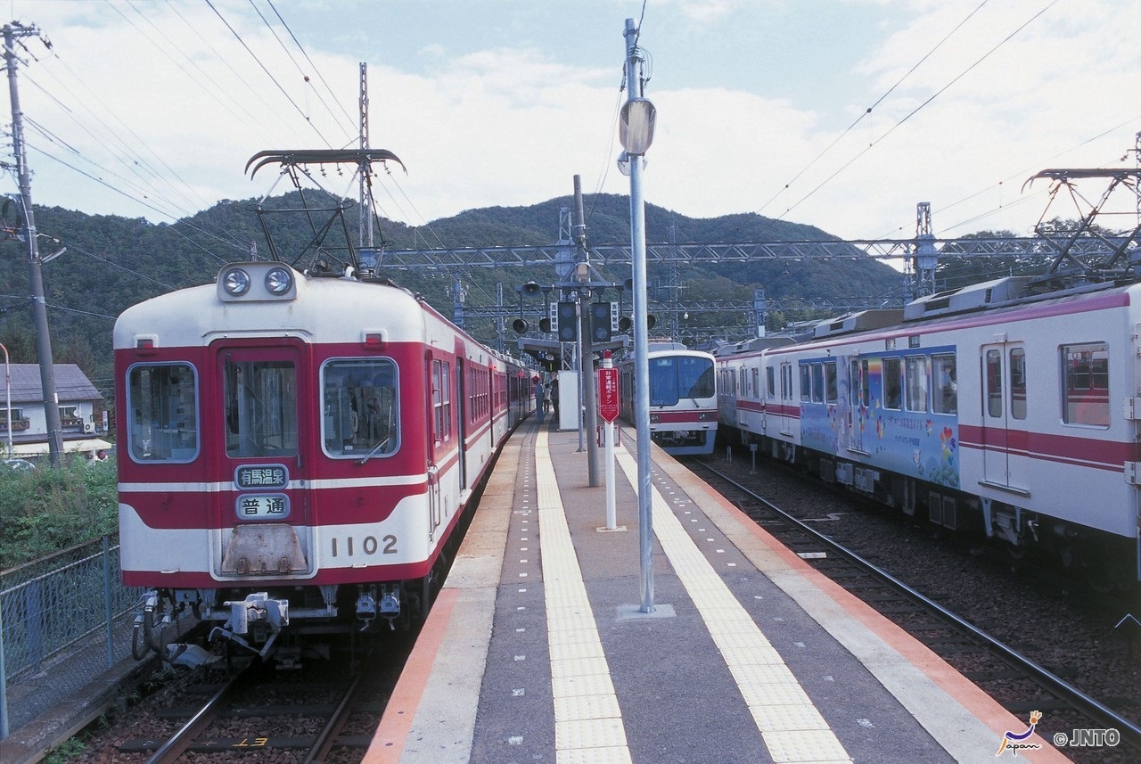 Door2Door transfer within the city. Kobe city ( Cherry Tomato )