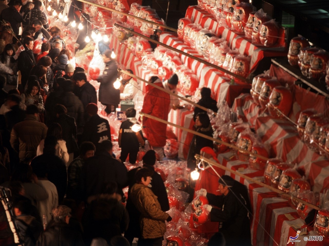Door2Door transfer within the city. Maebashi City ( Cherry Tomato )