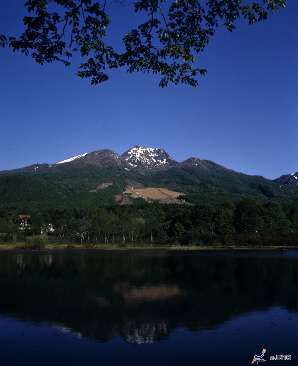 Door2Door transfer within the city. Myoko City ( Cherry Tomato )