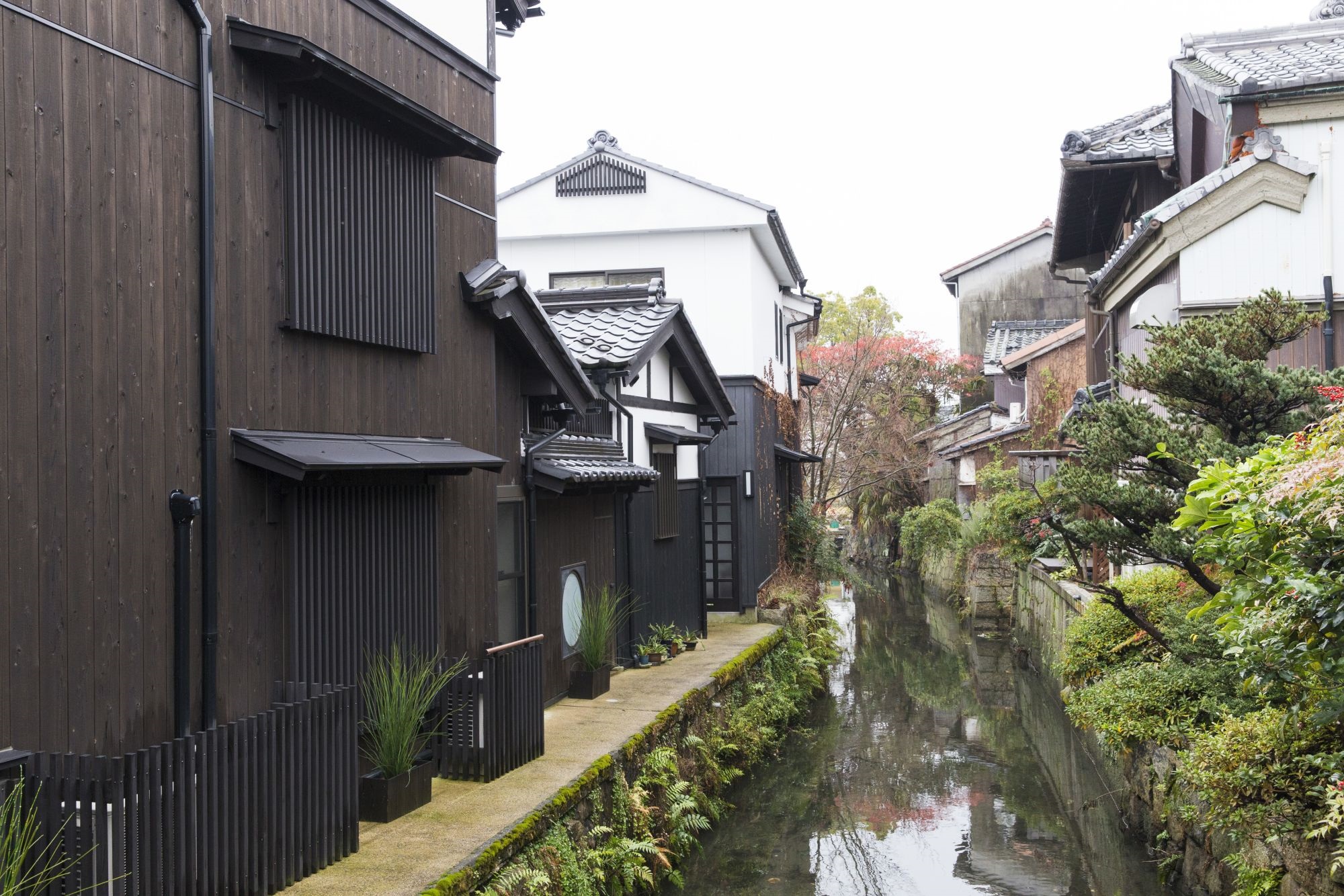 Door2Door transfer within the city. Nagahama City ( Cherry Tomato )