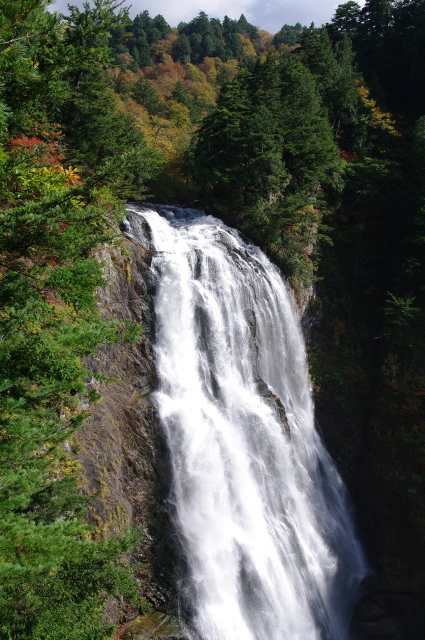Door2Door transfer within the city. Nihonmatsu City ( Cherry Tomato )