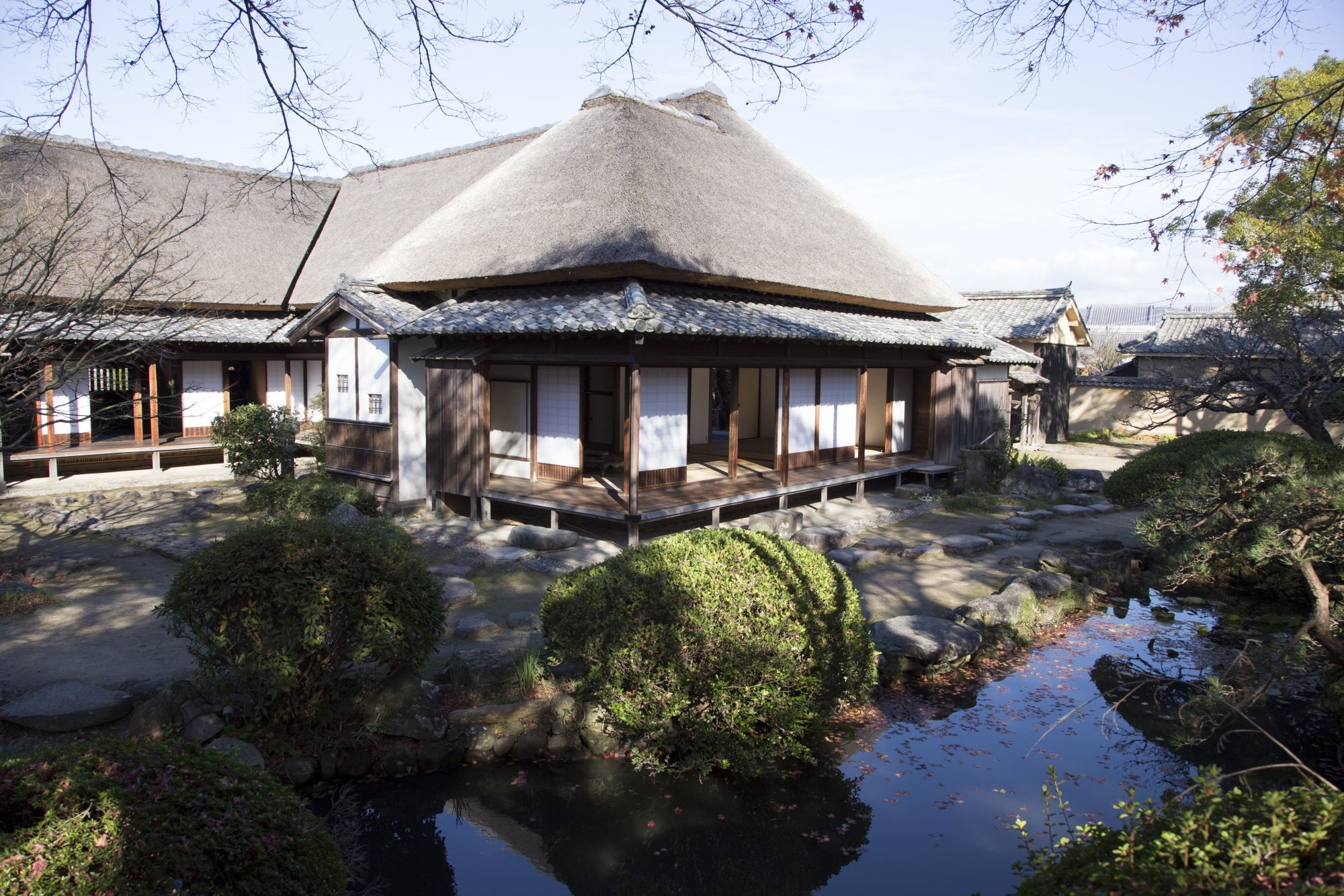 Door2Door transfer within the city. Oita City ( Cherry Tomato )