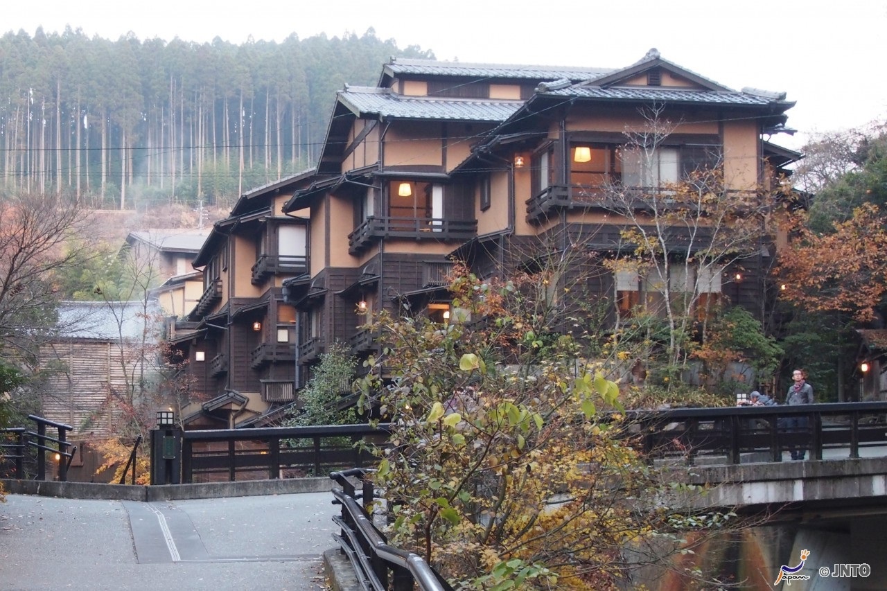 Door2Door transfer within the city. Kumamoto City ( Cherry Tomato )