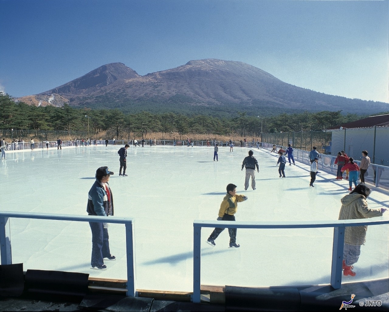 Door2Door transfer within the city. Miyazaki City ( Cherry Tomato )