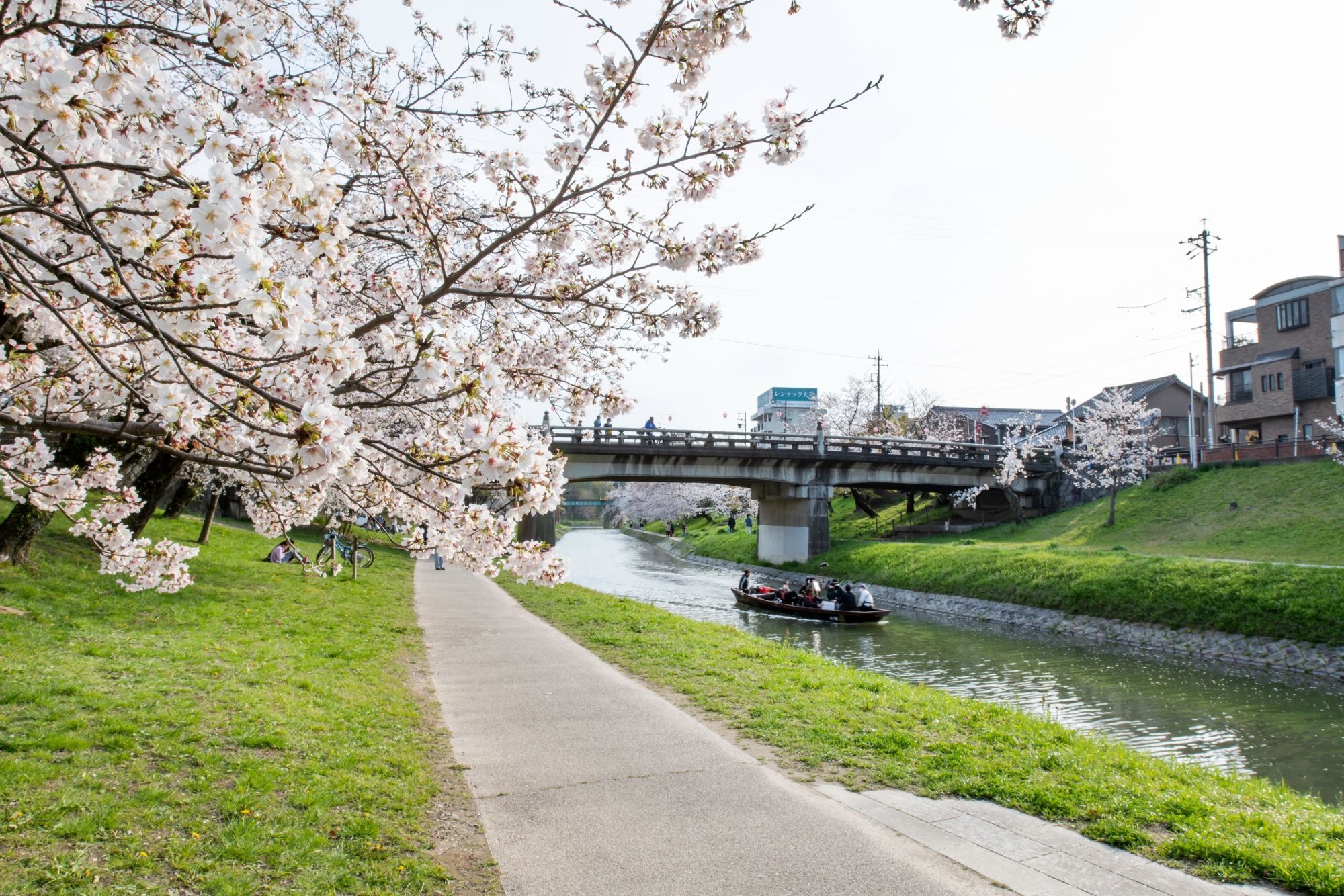 Door2Door transfer within the city. Okazaki City ( Cherry Tomato )