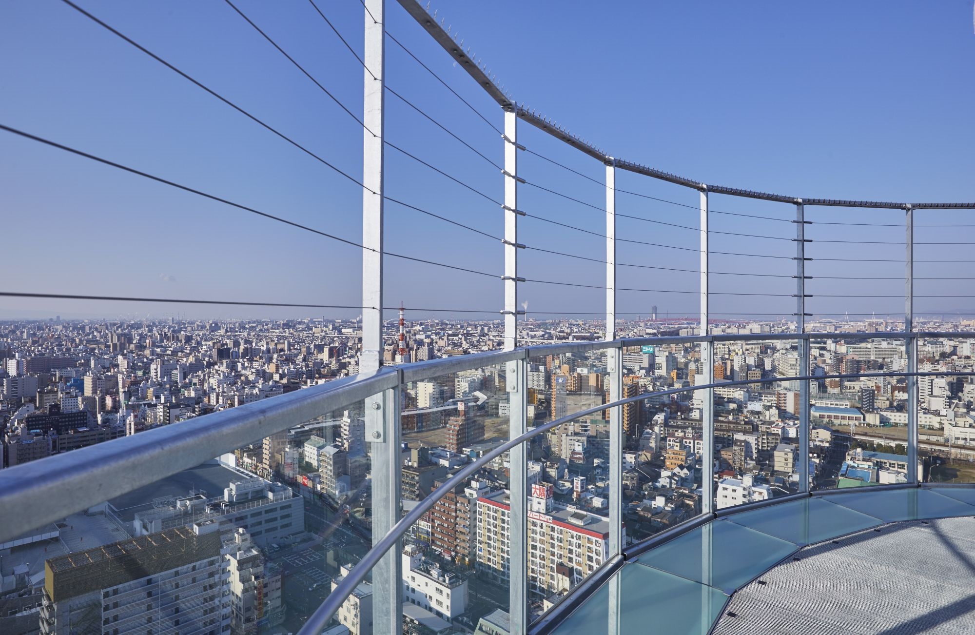 Door2Door transfer within the city. Osaka City ( Cherry Tomato )