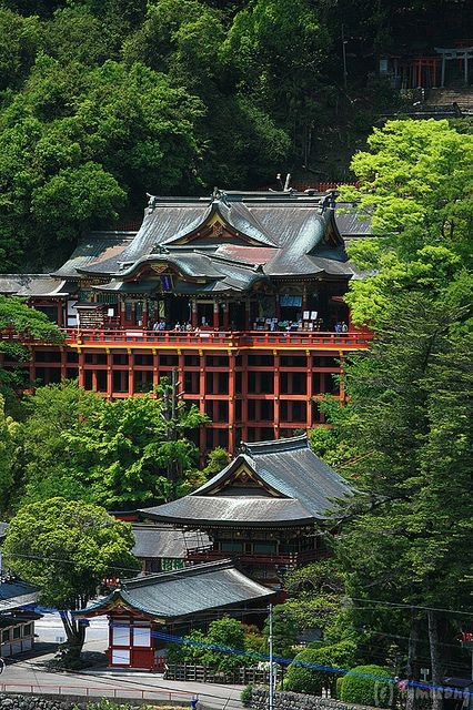 Door2Door transfer within the city. Kashima City ( Cherry Tomato )