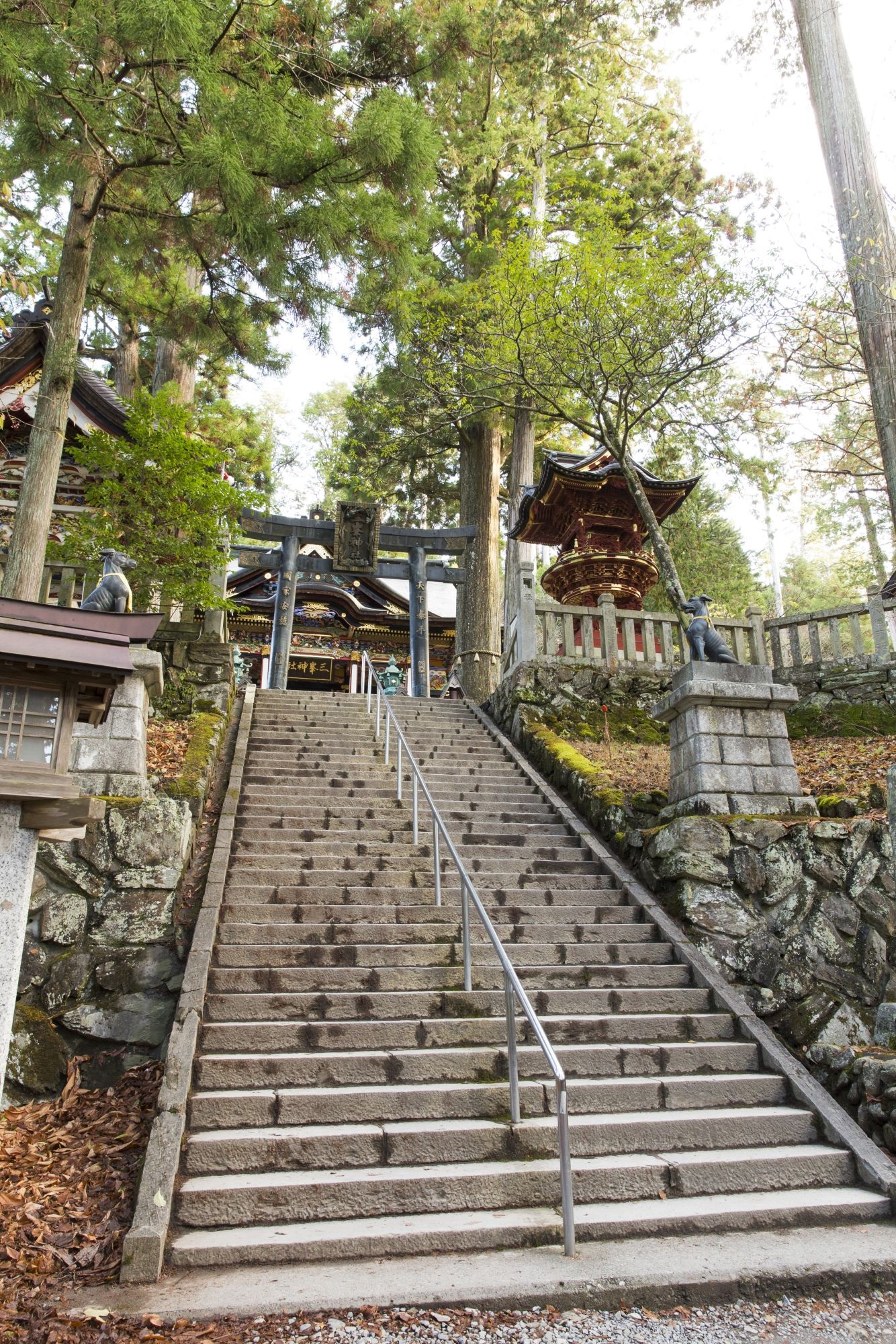 Door2Door transfer within the city. Saitama City ( Cherry Tomato )