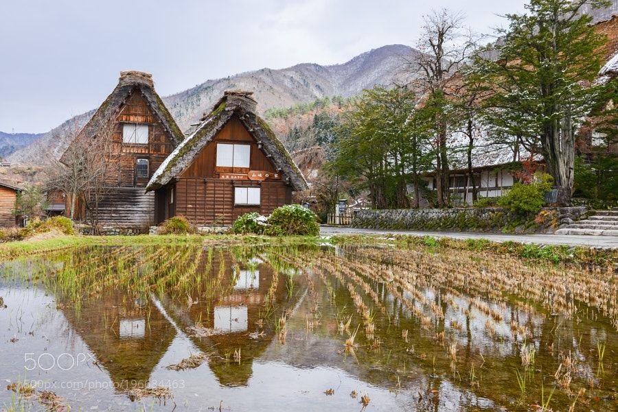 Door2Door transfer within the city. Shirakawago Village ( Cherry Tomato )