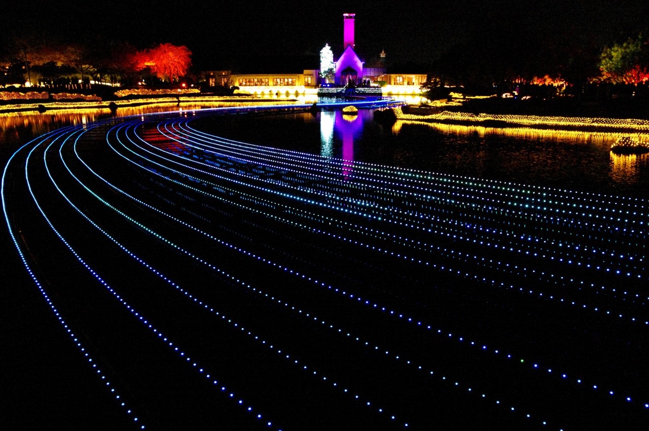 Door2Door transfer within the city. Suzuka City ( Cherry Tomato )