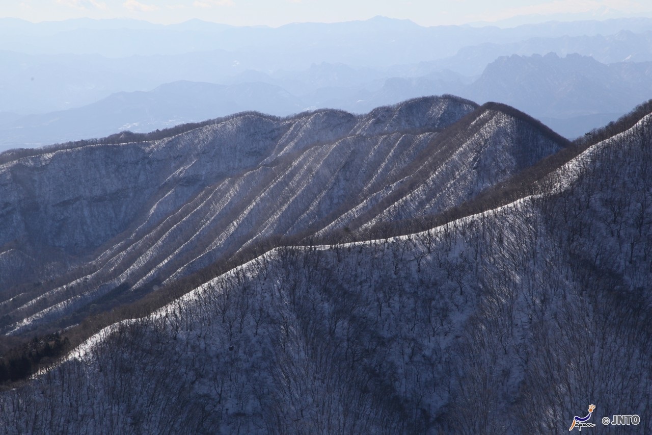 Door2Door transfer within the city. Takasaki City ( Cherry Tomato )