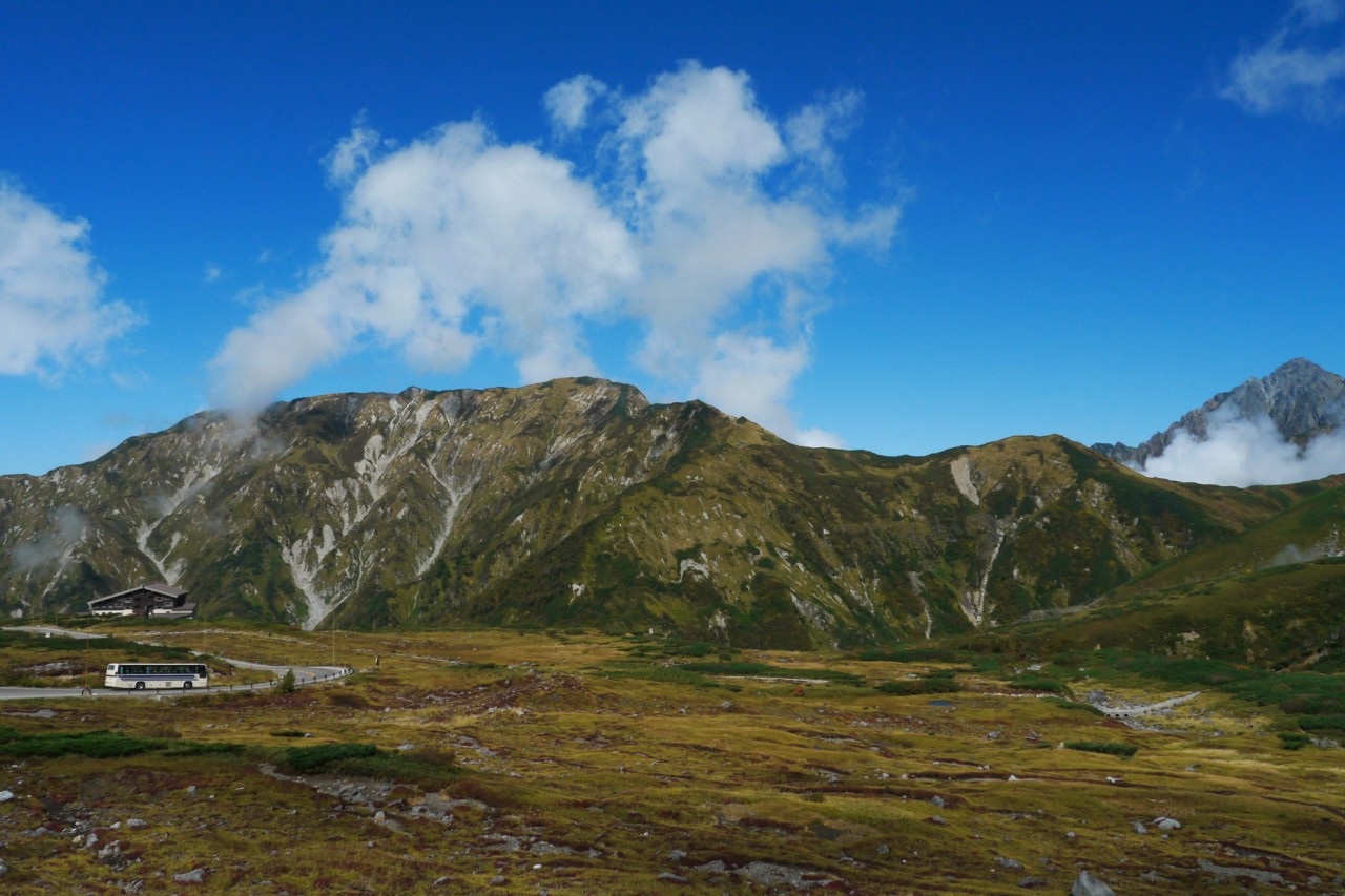 Door2Door transfer within the city. Toyama City ( Cherry Tomato )