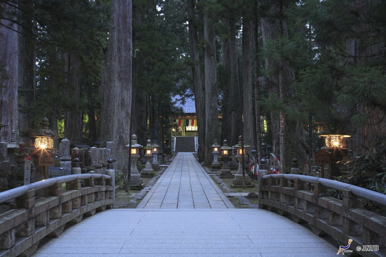 Door2Door transfer within the city. Wakayama City ( Cherry Tomato )