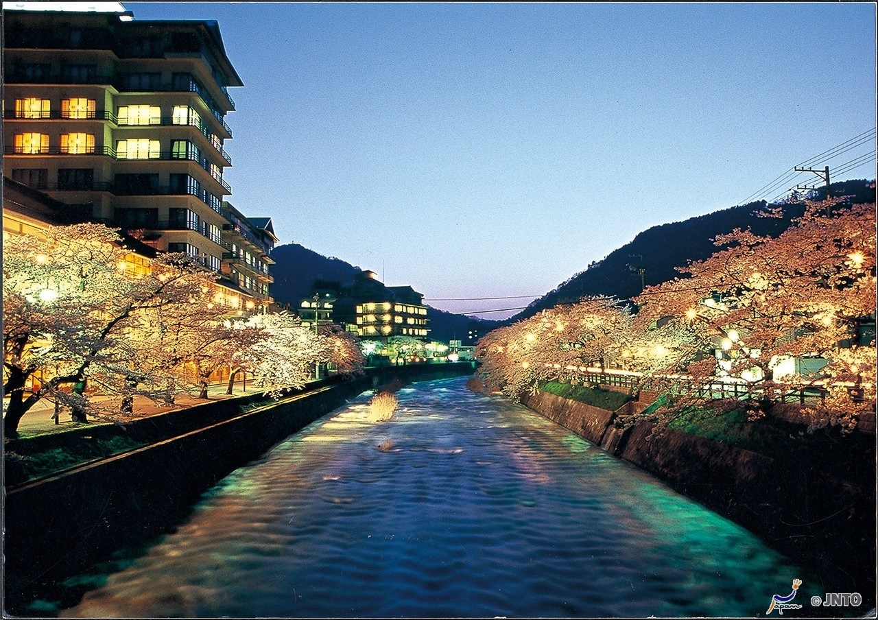Door2Door transfer within the city. Yamagata City ( Cherry Tomato )