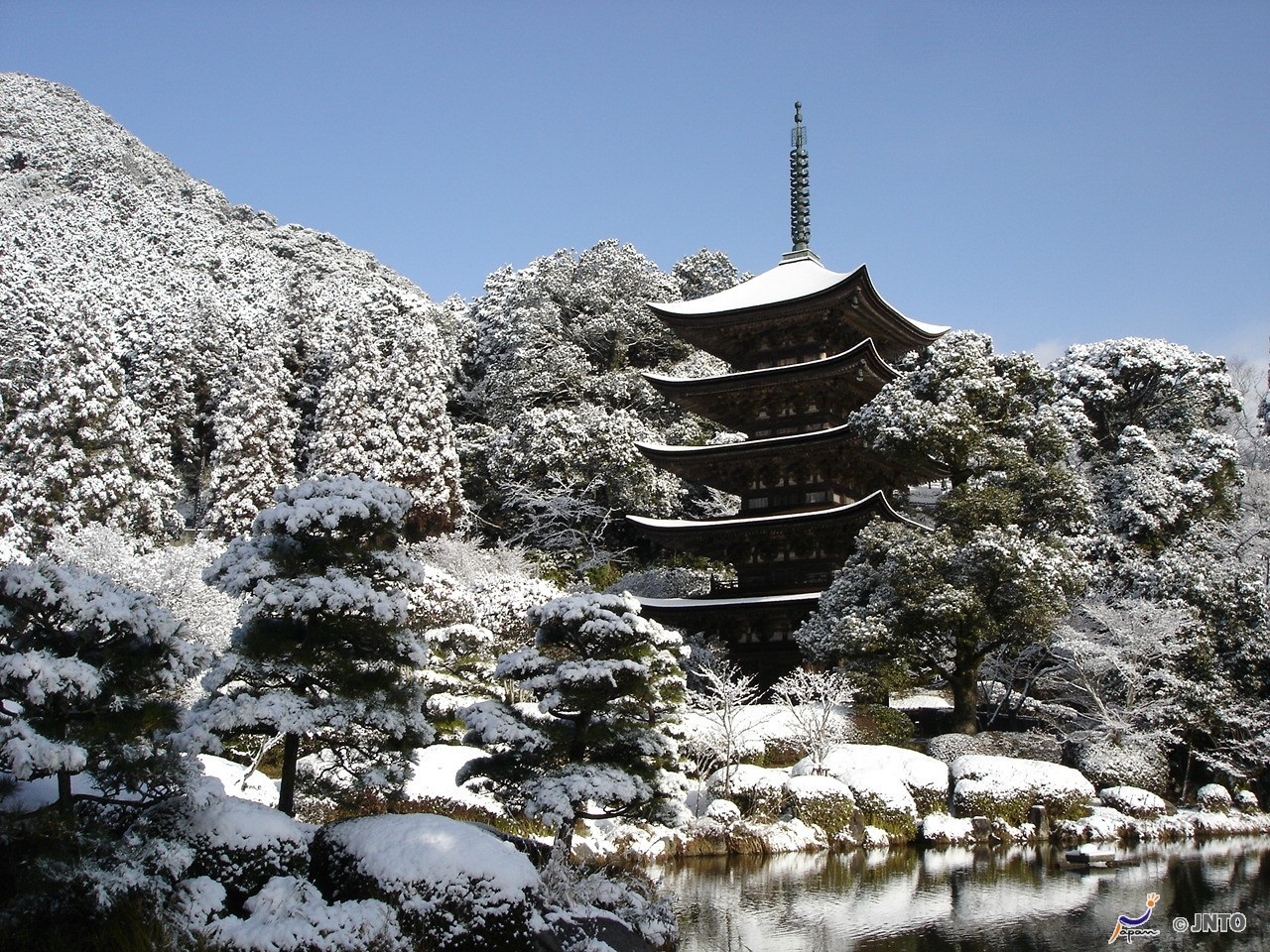Door2Door transfer within the city. Yamaguchi City ( Cherry Tomato )