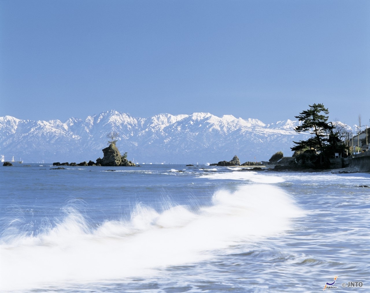 Door2Door transfer within the city. Takaoka City ( Cherry Tomato )