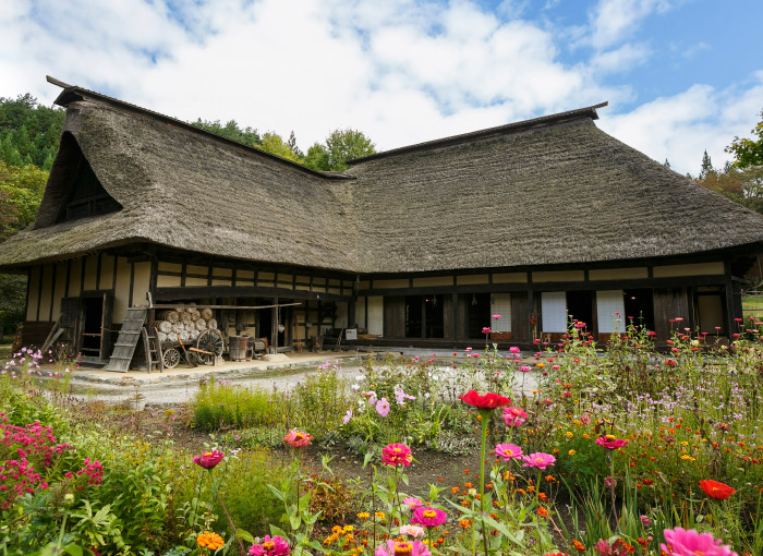 Door2Door transfer within the city. Tono City ( Cherry Tomato )