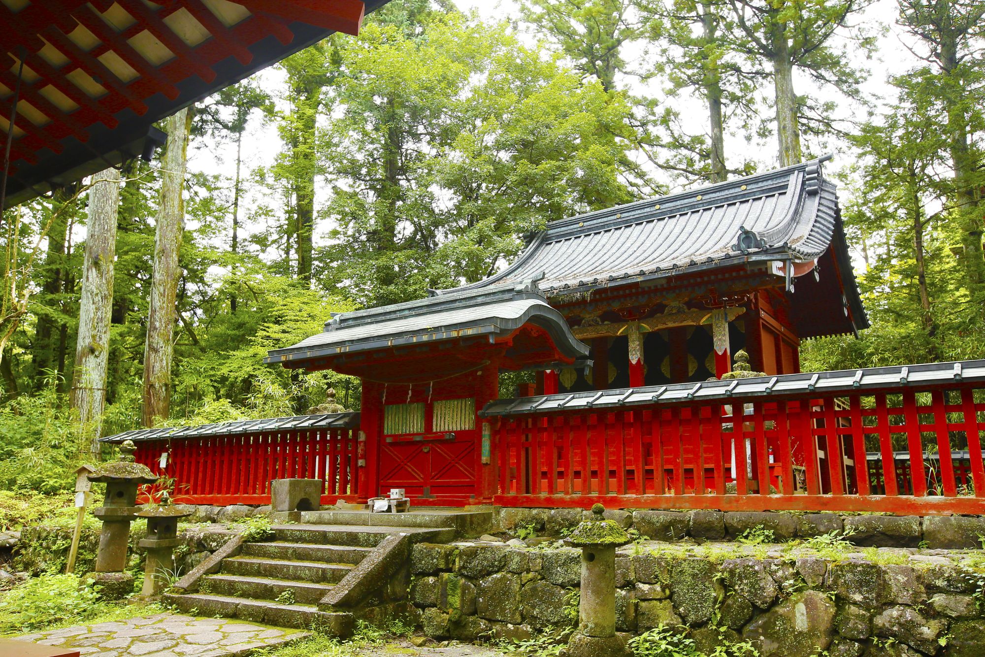 Cherry Tomato. 4 Hours Charter Transfer Within The City. Nikko City (with Invisible Tour Guide Service On Demand)