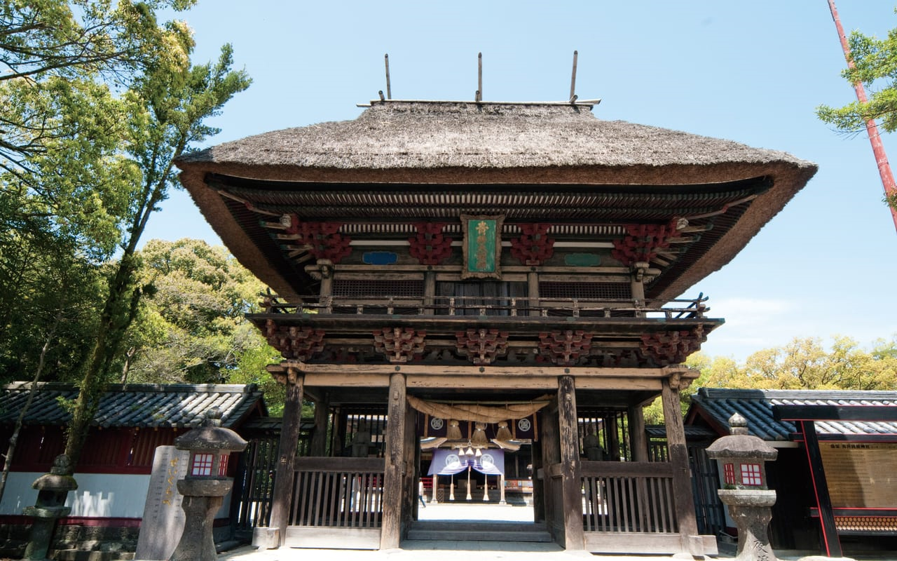 Door2Door transfer within the city. Aso City Uchinomai Area ( Cherry Tomato )