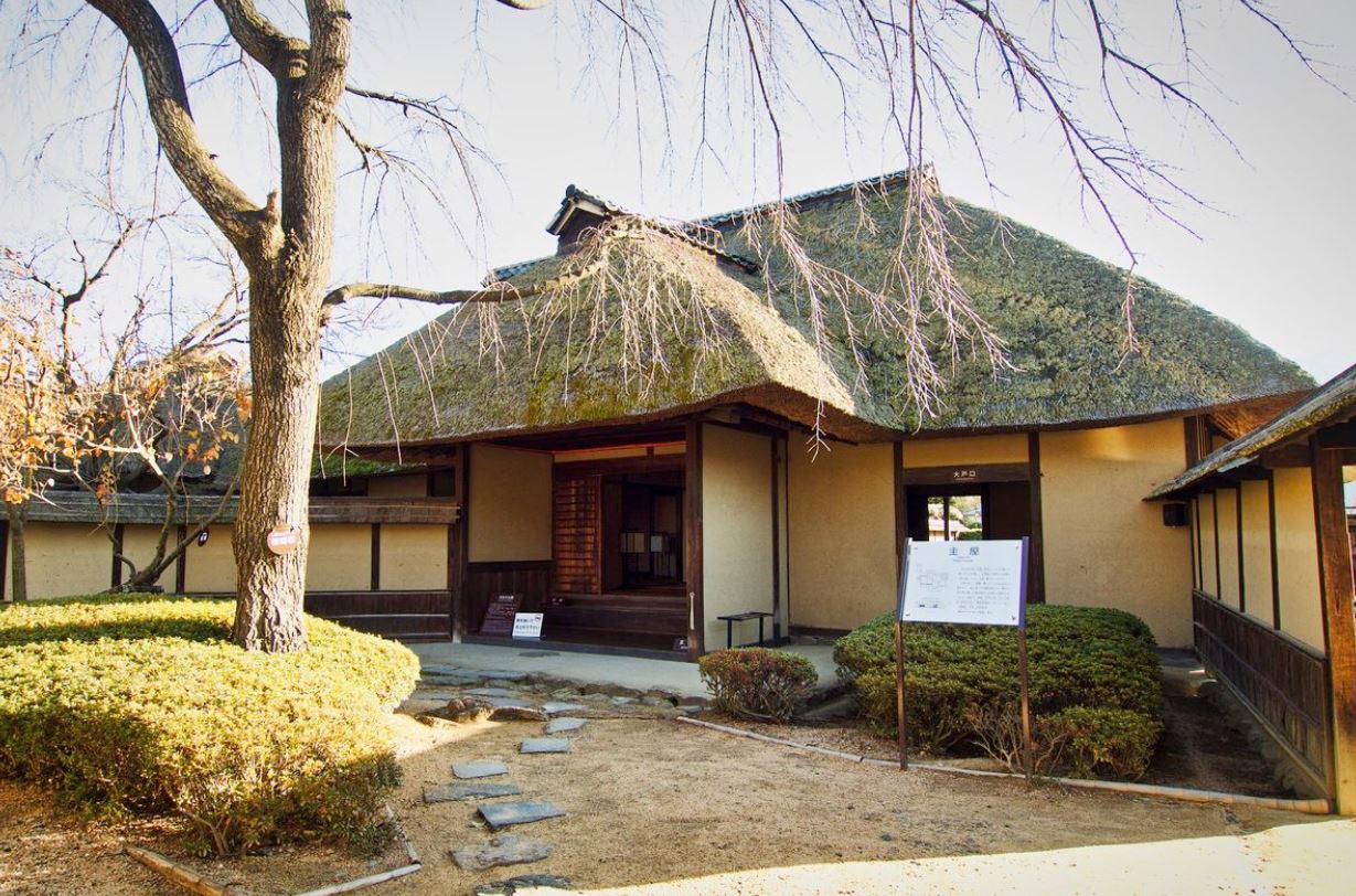 Door2Door transfer within the city. Ena City ( Cherry Tomato )