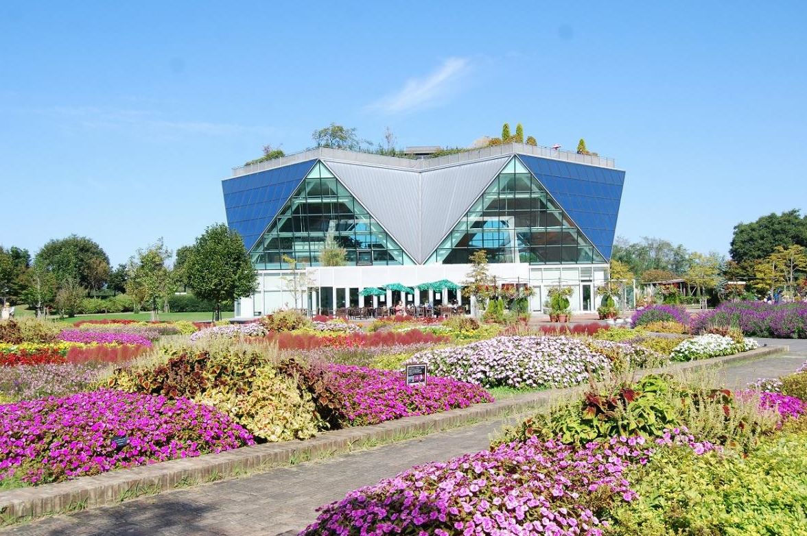 Door2Door transfer within the city. Konan City ( Cherry Tomato )