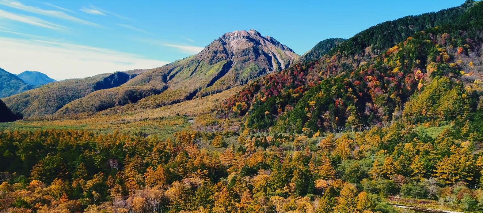 Door2Door transfer within the city. Kami City ( Cherry Tomato )