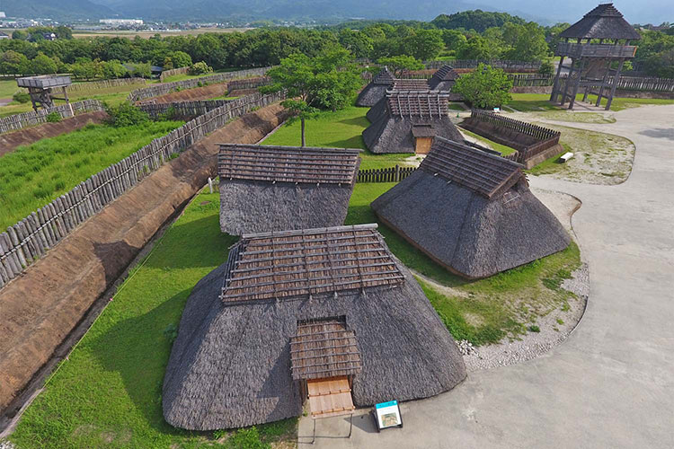 Door2Door transfer within the city. Kanzaki City ( Cherry Tomato )