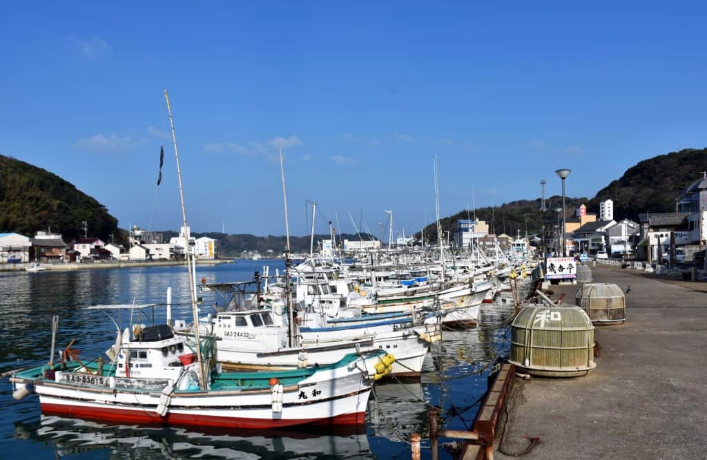 Cherry Tomato. 4 Hours Charter Transfer Within The City. Karatsu (with Invisible Tour Guide Service On Demand)