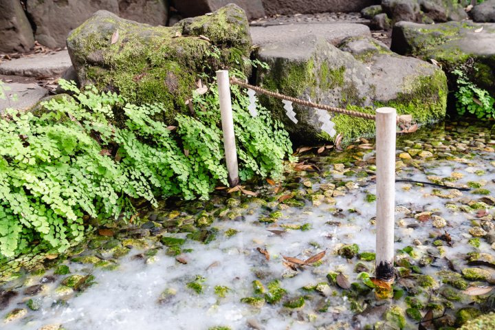 Cherry Tomato. 4 Hours Charter Transfer Within The City. Kawagoe (with Invisible Tour Guide Service On Demand)