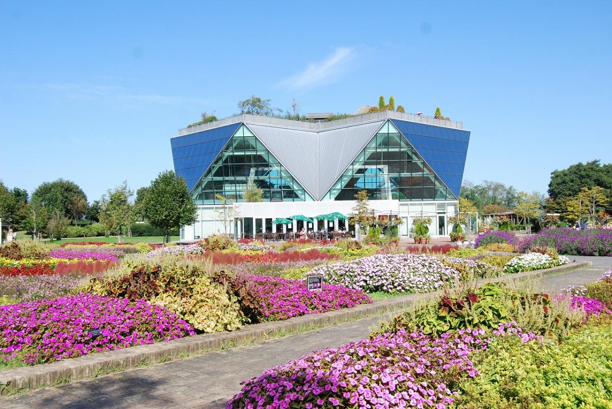 Cherry Tomato. 4 Hours Charter Transfer Within The City. Konan (with Invisible Tour Guide Service On Demand)