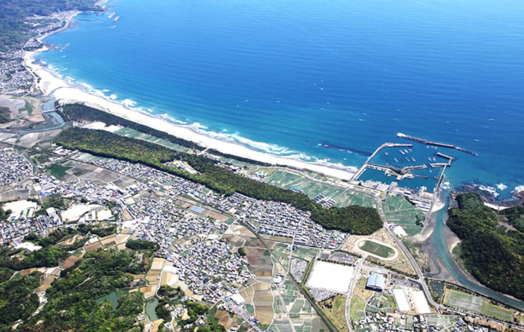 Door2Door transfer within the city. Kuroshio Town ( Cherry Tomato )