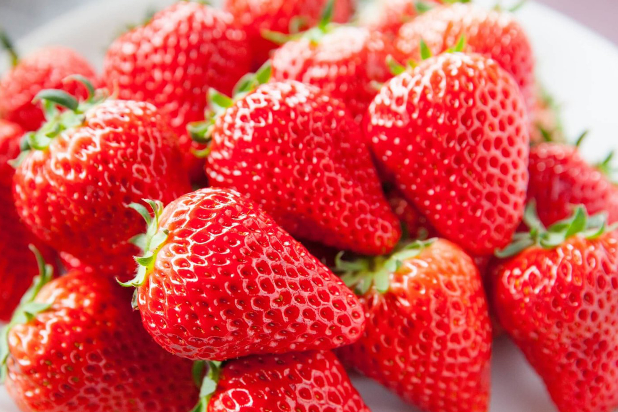 Door2Door transfer within the city. Nankoku City ( Cherry Tomato )