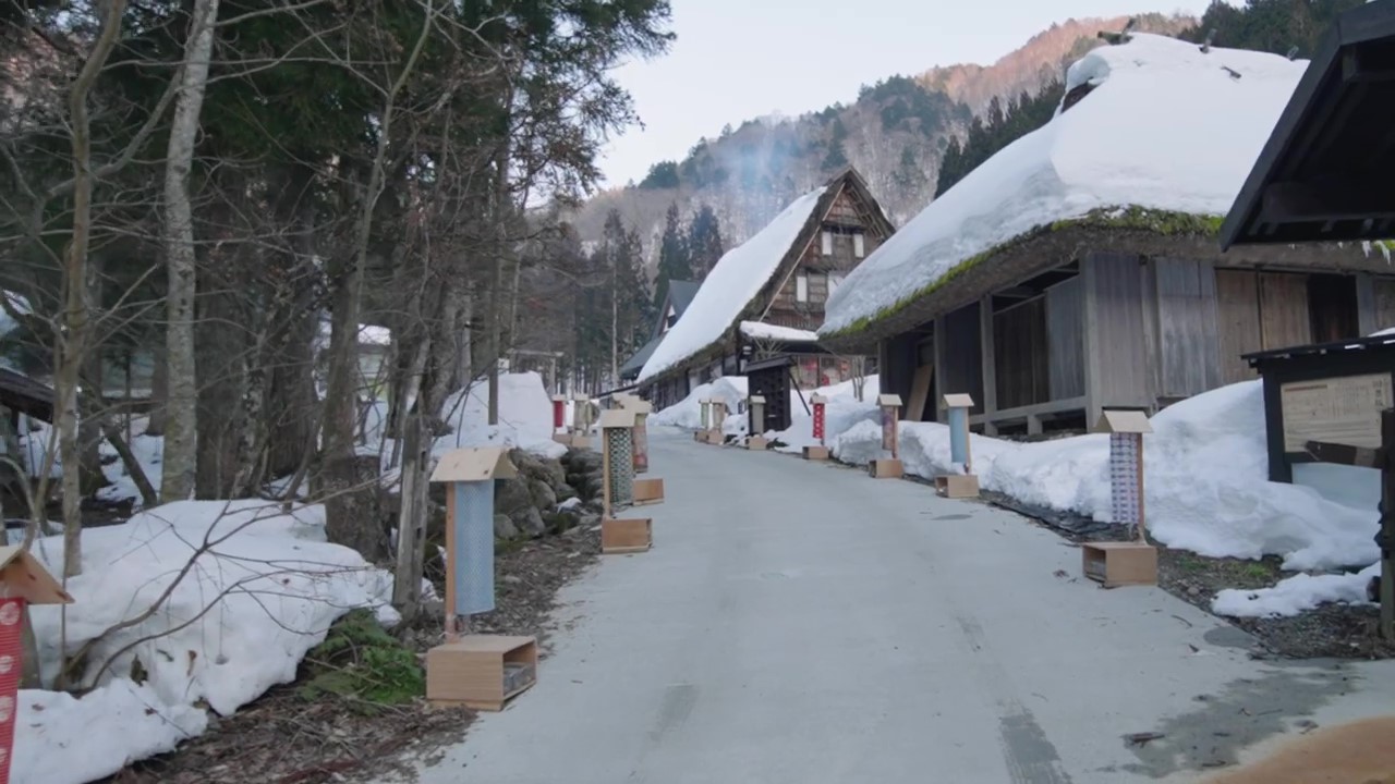 Cherry Tomato. 4 Hours Charter Transfer Within The City. Oku-Hida Onsengo Area (with Invisible Tour Guide Service On Demand)