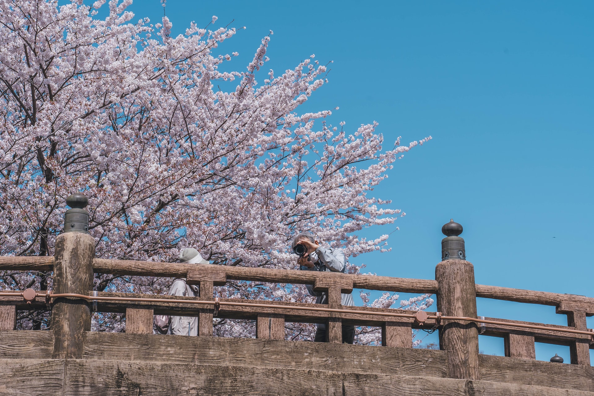 Cherry Tomato. 4 Hours Charter Transfer Within The City. Omihachiman City (with Invisible Tour Guide Service On Demand)