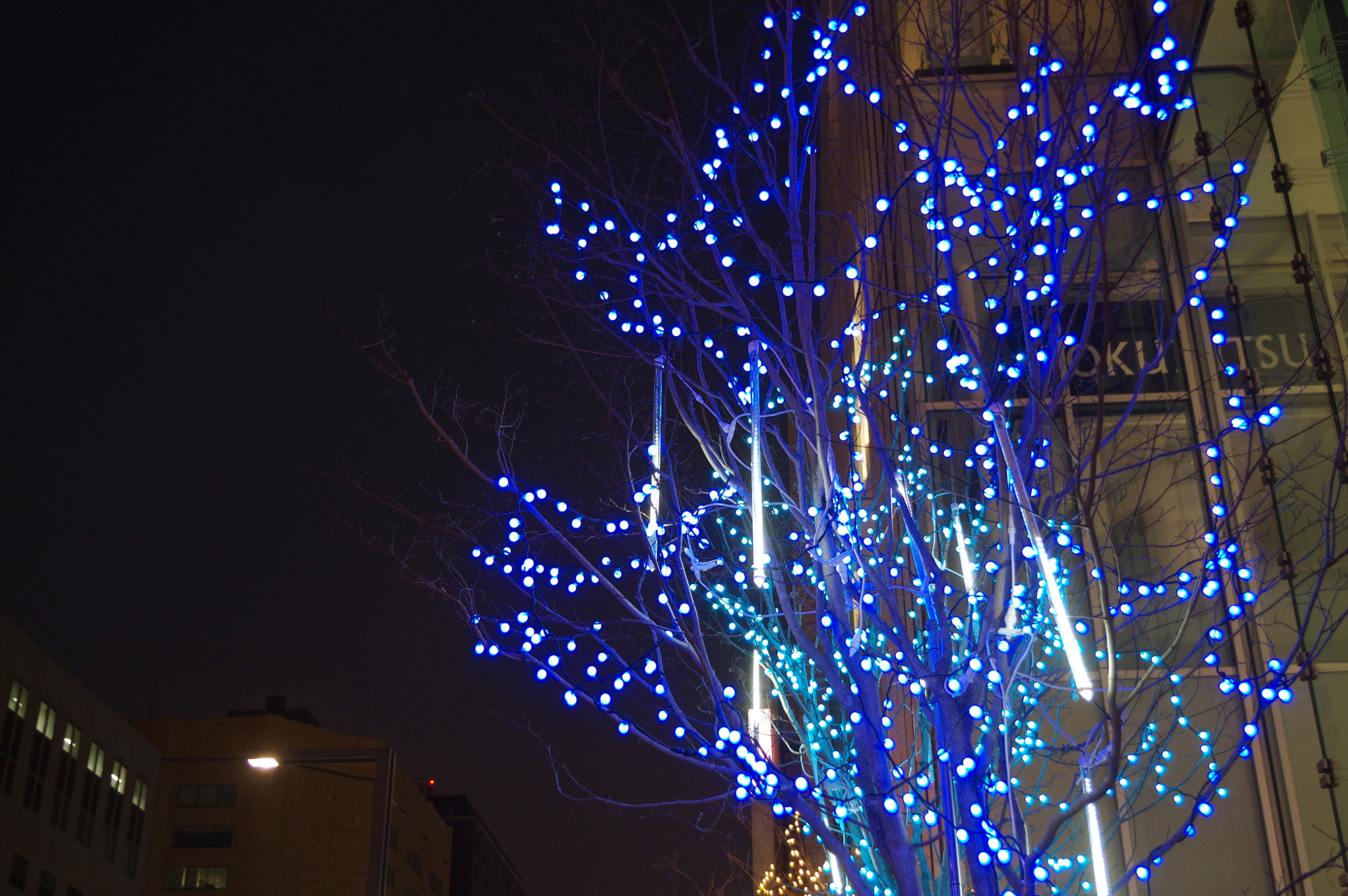 Door2Door transfer within the city. Oyabe City ( Cherry Tomato )