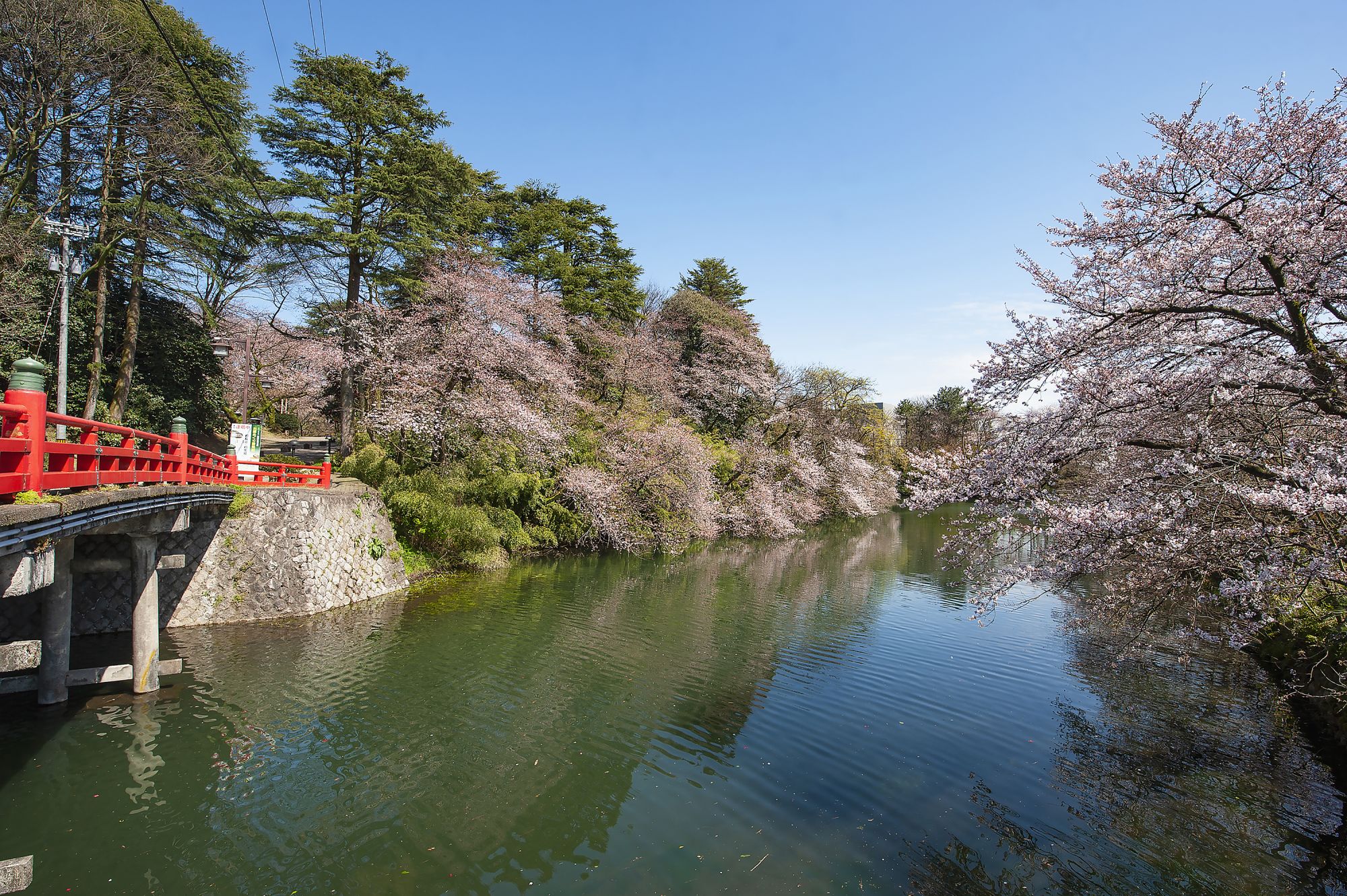 Cherry Tomato. 4 Hours Charter Transfer Within The City. Takaoka City (with Invisible Tour Guide Service On Demand)
