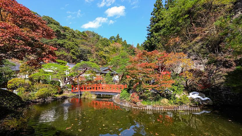Cherry Tomato. 4 Hours Charter Transfer Within The City. Utsunomiya (with Invisible Tour Guide Service On Demand)